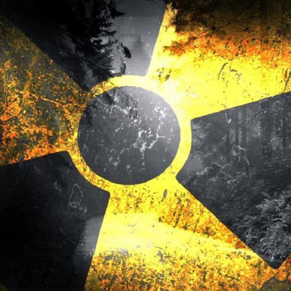 Meet your Posher, Olivia.